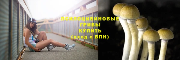 марки nbome Чегем