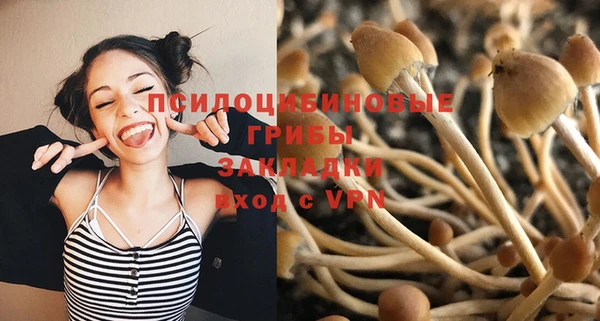 а пвп мука Чердынь
