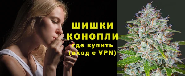 ПСИЛОЦИБИНОВЫЕ ГРИБЫ Вязьма