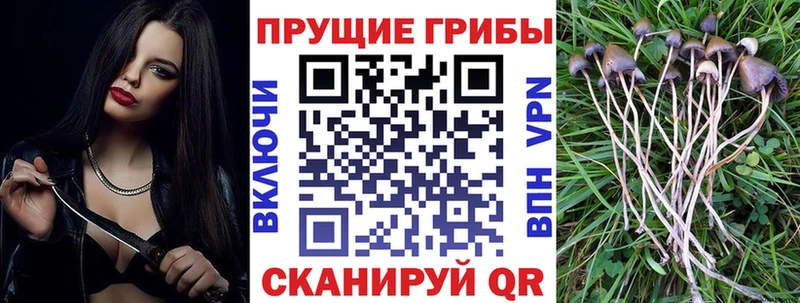 Псилоцибиновые грибы Magic Shrooms  Купить  Костомукша 